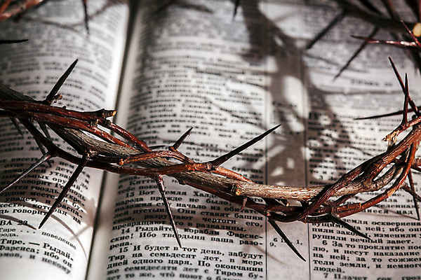 포토 JPG 해외이미지 기독교 종교 왕관 부활절 사랑 사람없음 책 가로 평화 성경 가시 영혼 날카로움 신성 가시면류관 해외202004 해외포토 기념일 감정 컨셉 종교용품 파일형식 이미지허브