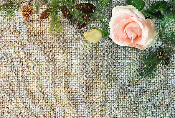 포토 JPG 해외이미지 나무 식물 계절 백그라운드 크리스마스 겨울 패턴 부분 자연 추상 휴가 새로움 새해 선물 사람없음 목재 장식 가로 빨간색 초록색 빛 수확 나뭇가지 시골 소나무 황금 질감 복고 내추럴 동성애자 옛날 가문비나무 해외202004 해외포토 기념일 컬러 컨셉 무늬 농업 재료 생태계 파일형식 성소수자 이미지허브