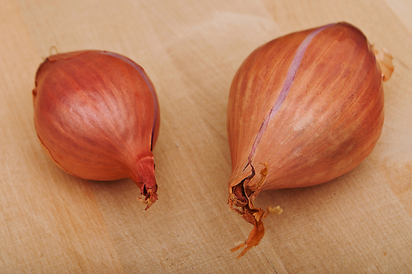 포토 JPG 해외이미지 잡화 길 음식 조각 백그라운드 농업 채소 재료 전구 건강 요리 사람없음 목재 빨간색 갈색 노란색 보라색 저녁식사 흰색 신선 양념 맛 발사 자르기 다발 허브 피부 향신료 만족 유기농 슬라이스 아로마 뿌리 향료 향 내추럴 고립 해외202004 해외포토 나무 식물 웰빙 감정 산업 컬러 컨셉 모션 신체부위 식사 향기 냄새 향미료 파일형식 이미지허브