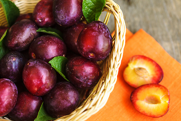 포토 JPG 해외이미지 계절 음식 백그라운드 잎 다이어트 과일 재료 자연 디저트 건강 사람없음 목재 세로 초록색 파란색 바구니 숟가락 검은색 신선 달콤 맛 아침식사 매끈함 설탕 먹기 제비꽃 유기농 날것 시럽 자두 내추럴 숙성 채식주의자 해외202004 해외포토 나무 식물 웰빙 꽃 컬러 컨셉 모션 수저 식사 감각 생태계 채식 파일형식 이미지허브