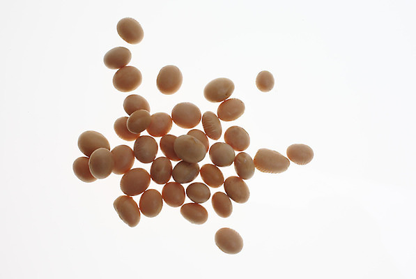 포토 JPG 해외이미지 식물 음식 채소 사람없음 농작물 유기농 꼬투리 대두 채식주의자 비건 해외202004 해외포토 웰빙 농업 채식 파일형식 이미지허브