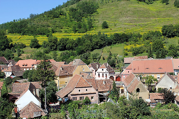 포토 JPG 해외이미지 나무 전통 유럽 종교 문화 여행 건축양식 자연 하늘 지붕 주택 협상 풍경 사람없음 건물 파란색 여행객 탑 시골 도시 중세 역사 아치 타운 루마니아 옛날 트란실바니아 해외202004 해외포토 식물 건축물 건축 나라 컬러 비즈니스 사람 생태계 파일형식 이미지허브