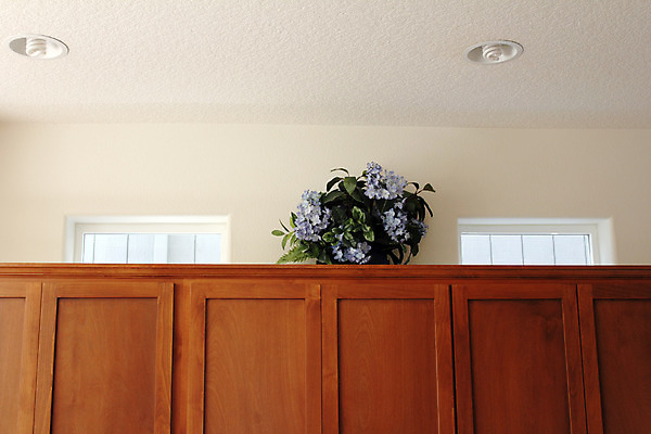 포토 JPG 해외이미지 디자인 꽃 벽 잎 꽃무늬 건축양식 창문 주택 실내 사람없음 내부 목재 장식 초록색 파란색 갈색 바구니 주방 방 흰색 정상 플라스틱 배열 캐비닛 오브젝트 천장 수국 거짓 양치류 업그레이드 인공 조언 주목 해외202004 해외포토 나무 식물 건축 컬러 무늬 재료 재질 건물 사물함 파일형식 이미지허브