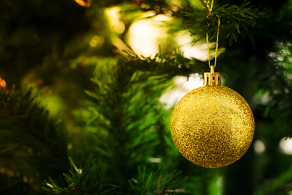 포토 JPG 해외이미지 나무 전통 디자인 계절 행복 백그라운드 크리스마스 겨울 패턴 공 유리 휴가 불꽃 새로움 주택 기념 따뜻함 선물 사람없음 내부 장식 빨간색 초록색 빛 노란색 축제 화환 방 흰색 축하 소나무 황금 야간 12월 연도 벽난로 블러 해외202004 해외포토 자연요소 식물 기념일 꽃 감정 컬러 컨셉 무늬 재질 불 건물 날짜 파일형식 이미지허브