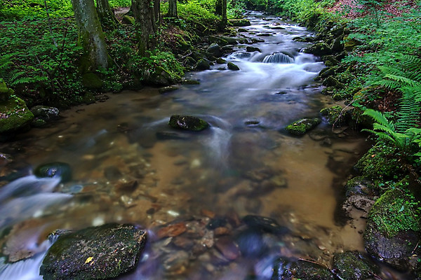 포토 JPG 해외이미지 유럽 길 여행 자국 자연 풍경 사람없음 야외 목재 초록색 물 여름 강 환경 골짜기 폭포 하이킹 흐름 바위 개울 숲 알프스 내추럴 슬로베니아 해외202004 해외포토 자연요소 나무 계절 나라 컬러 컨셉 재료 레저 돌_바위 생태계 파일형식 이미지허브