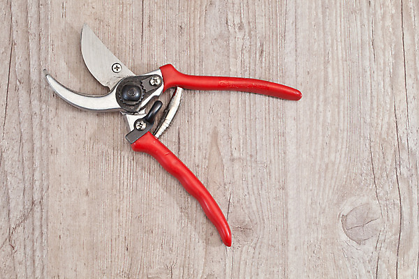 포토 JPG 해외이미지 사람없음 빨간색 금속 기구 도구 공구 업무 수리 자르기 원예 커터 해외202004 해외포토 컬러 모션 재질 취미 작업 파일형식 이미지허브