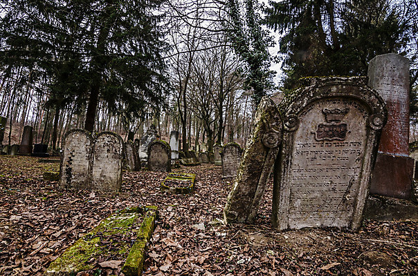 포토 JPG 해외이미지 꽃 기독교 종교 지구 백그라운드 십자가 부활절 사람없음 목재 조각상 검은색 성경 바위 기도 죽음 예수 영혼 목사 심볼 애도 신성 땅파기 신앙심 옛날 장례식 오싹 해외202004 해외포토 나무 식물 기념일 컬러 재료 종교용품 조형물 신_종교 성직자 파일형식 이미지허브