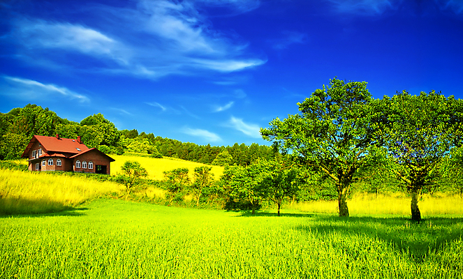 포토 JPG 해외이미지 나무 식물 구름 행복 백그라운드 컨셉 밭 농업 비즈니스 가족 자연 하늘 성공 새로움 산 주택 파노라마 사람 풍경 사람없음 건물 초록색 여름 파란색 평화 환경 정원 침묵 재산 고독 구매 숲 큼 과수원 땅 투자 돌봄 렌탈 입력 진짜 수평선 제의 해외202004 해외포토 자연요소 건축물 계절 감정 산업 컬러 관계 모션 촬영기법 금융 쇼핑 소리 크기 생태계 파일형식 이미지허브