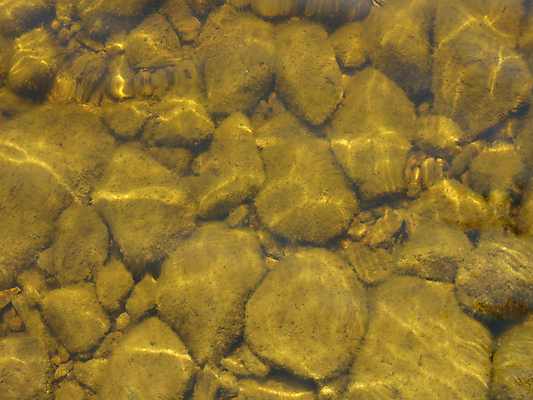 포토 JPG 해외이미지 계절 호수 백그라운드 바닥 사람없음 물 여름 강 갈색 바위 해조류 당구 만족 진흙 해외202004 해외포토 자연요소 감정 컬러 구기 돌_바위 해양식물 파일형식 이미지허브