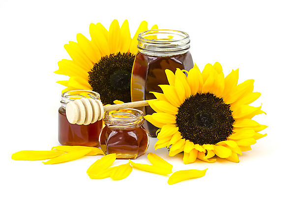 포토 JPG 해외이미지 꽃잎 꽃 음식 백그라운드 재료 자연 유리 탁자 해바라기 건강 사람없음 목재 가로 갈색 노란색 흰색 항아리 투명 액체 막대기 황금 붓기 달콤 맛 냄비 상품 국자 유기농 꿀 내추럴 고립 카피스페이스 해외202004 해외포토 나무 식물 웰빙 컬러 가구 컨셉 모션 재질 주방용품 공백 도자기 솥 생태계 파일형식 이미지허브