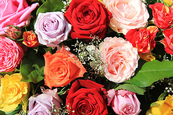 포토 JPG 해외이미지 식물 꽃잎 꽃 분홍색 꽃다발 오렌지 자연 사람없음 빨간색 초록색 컬러풀 장미 노란색 봄 흰색 배열 꽃집 질감 섞기 해외202004 해외포토 계절 컬러 과일 상점 생태계 파일형식 이미지허브