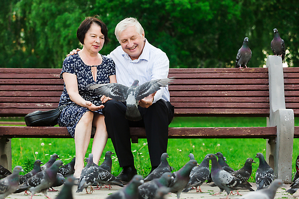 포토 JPG 해외이미지 공원 노년 남자 행복 벤치 가족 자연 조류 건강 사랑 미소 사람 성인 야외 두명 여름 숲 은퇴 비둘기 70대 돌봄 옛날 해외202004 해외포토 동물 계절 공공시설 감정 의자 관계 모션 표정 생태계 파일형식 이미지허브