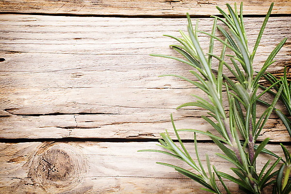 포토 JPG 해외이미지 식물 음식 백그라운드 잎 농업 채소 재료 건강 사람없음 가로 초록색 흰색 나뭇가지 신선 양념 맛 먹기 허브 향신료 오브젝트 유기농 날것 로즈메리 고립 채식주의자 해외202004 해외포토 나무 웰빙 산업 컬러 컨셉 모션 채식 향미료 파일형식 이미지허브