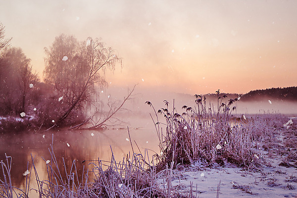 포토 JPG 해외이미지 나무 계절 도로 호수 여행 백그라운드 크리스마스 겨울 자연 하늘 아침 풍경 사람없음 야외 목재 물 파란색 빛 강 햇빛 반사 일출 냉동 얼음 새벽 추위 안개 흰색 시골 신선 숲 서리 자작나무 내추럴 벨로루시 폭설 눈내림 해외202004 해외포토 주간 자연요소 식물 기념일 길 컬러 재료 교통시설 날씨 눈_날씨 태양 노을 자연재해 생태계 파일형식 이미지허브