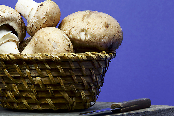 포토 JPG 해외이미지 전통 음식 백그라운드 다이어트 채소 재료 자연 주택 건강 사람없음 목재 장식 갈색 바구니 상점 주방 정원 버섯 시골 신선 상품 자르기 에코 유기농 밀짚 내추럴 생태학 채식주의자 핸드메이드 해외202004 해외포토 나무 웰빙 교육 컬러 모션 건물 환경 짚 생태계 채식 파일형식 이미지허브