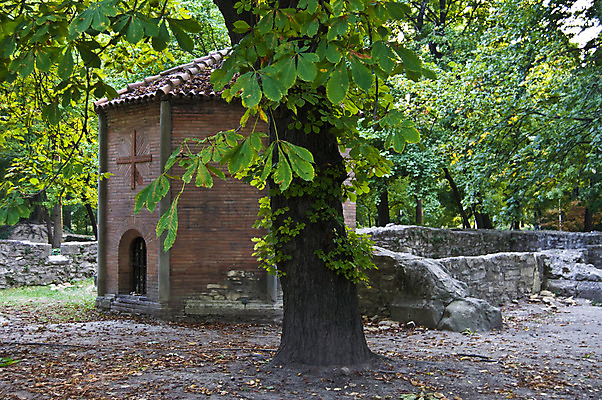 포토 JPG 해외이미지 나무 벽 섬 자연 사람없음 건물 교회 버리기 헝가리 부다페스트 수녀원 썩음 파멸 해외202004 해외포토 식물 건축물 컨셉 종교건축 모션 생태계 동유럽 파일형식 소멸 이미지허브
