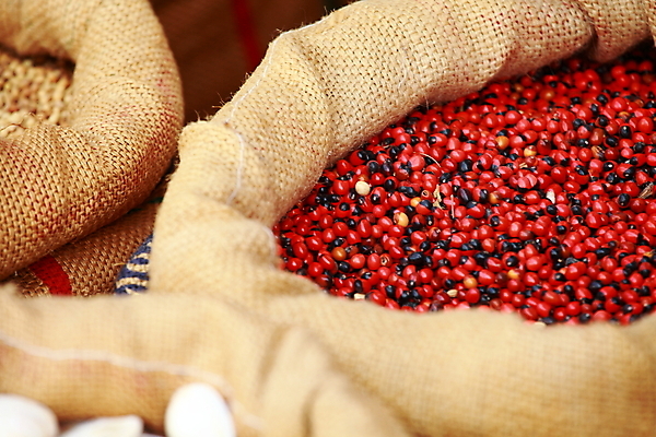 포토 JPG 해외이미지 전통 아시아 문화 패턴 재료 고추 파프리카 건조 건강 마늘 종류 요리 동양인 사람없음 컬러풀 갈색 상점 시장 구매 먹기 허브 향신료 매움 향 후추 카레 생강 모로코 사프란 시나몬 아랍어 이국적 힌두교 해외202004 해외포토 식물 나라 종교 음식 컬러 무늬 채소 모션 아프리카 인종 쇼핑 맛 향미료 파일형식 이미지허브