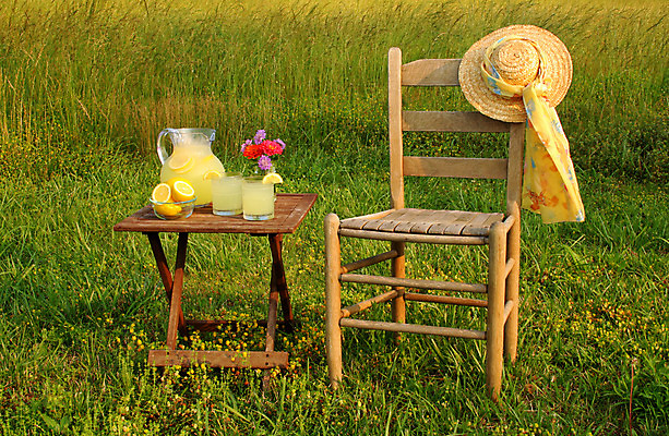 포토 JPG 해외이미지 꽃잎 꽃 안경 음료 꽃다발 백그라운드 밭 의자 과일 탁자 손잡이 사람없음 초록색 꽃병 얼음 목도리 추위 벚꽃 신선 조끼 사발 달콤 레몬 가득함 슬라이스 유리주전자 해외202004 해외포토 자연요소 식물 잡화 컬러 가구 농업 유리 주전자 외투 사기그릇 맛 파일형식 이미지허브