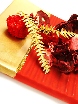 포토 JPG 해외이미지 식물 전통 계절 꽃 전통문화 크리스마스장식 크리스마스 겨울 휴가 건조 창조 사람없음 장식 빨간색 장미 축제 축하 사발 황금 오브젝트 만족 흰배경 노엘 양치류 크리스마스이브 핸드메이드 해외202004 해외포토 기념일 감정 문화 컬러 백그라운드 컨셉 흰색 사기그릇 파일형식 이미지허브