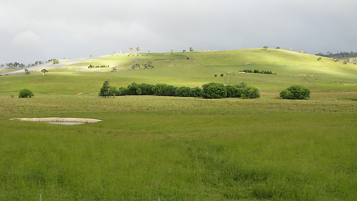 포토 JPG 해외이미지 나무 구름 밭 자연 날씨 파노라마 풍경 사람없음 초록색 여름 태양 회색 흰색 시골 호주 땅 언덕 먼지 내추럴 수평선 해외202004 해외포토 자연요소 식물 계절 컬러 농업 촬영기법 오세아니아 생태계 파일형식 이미지허브