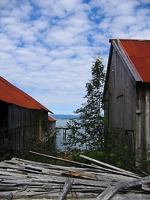 포토 JPG 해외이미지 산업 자연 하늘 사람없음 목재 여름 파란색 흰색 기중기 천국 방앗간 해외202004 해외포토 나무 계절 컬러 재료 중장비 생태계 파일형식 이미지허브