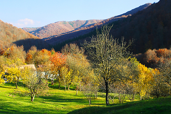 포토 JPG 해외이미지 나무 구름 계절 공원 스포츠 여행 백그라운드 잎 자연 하늘 산 파노라마 풍경 사람없음 야외 목재 초록색 여름 파란색 빛 햇빛 태양 환경 가을 시골 황무지 정상 숲 오르기 내추럴 산악지대 생태학 웅장함 절정 해외202004 해외포토 자연요소 식물 공공시설 교육 컬러 재료 모션 촬영기법 생태계 파일형식 이미지허브