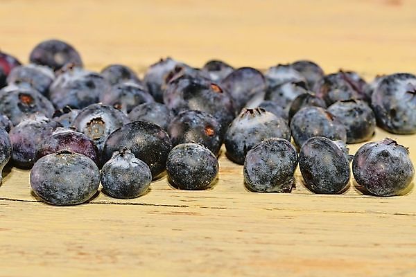 포토 JPG 해외이미지 열매 음식 백그라운드 잎 농업 다이어트 과일 자연 탁자 디저트 건강 사람없음 목재 초록색 파란색 주방 흰색 신선 그룹 사발 달콤 맛 아침식사 약초 상품 숲 오브젝트 유기농 블루베리 날것 내추럴 숙성 월귤 채식주의자 해외202004 해외포토 나무 식물 웰빙 산업 컬러 가구 컨셉 재료 식사 풀_식물 사기그릇 생태계 채식 파일형식 이미지허브