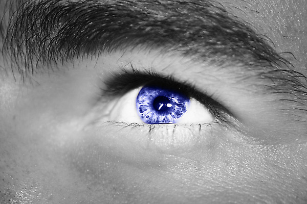 포토 JPG 해외이미지 학생 응시 남자 감정 안경 얼굴 건강 한명 사람 소년 갈색 시험 흰색 눈동자 속눈썹 피부 묘사 시력 비전 붓꽃 안과 노려봄 시력검사 돌봄 시각장애인 검안사 해외202004 해외포토 직업 1 시선 잡화 교육 꽃 어린이 컬러 모션 표정 병원 신체부위 눈_신체부위 장애인 눈썹 검사_조사 파일형식 안경사 이미지허브