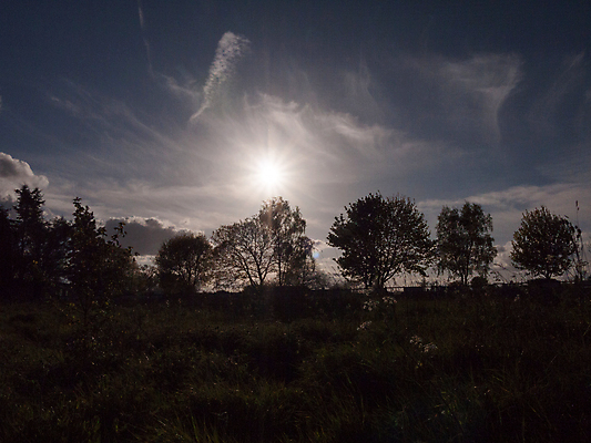 포토 JPG 해외이미지 나무 계절 실루엣 여행 백그라운드 밭 농업 자연 하늘 아침 추상 불꽃 따뜻함 풍경 사람없음 야외 초록색 여름 파란색 빛 햇빛 태양 농장 일출 황혼 일몰 봄 새벽 수확 광선 가을 시골 신선 저녁 복고 파열 내추럴 해외202004 해외포토 주간 자연요소 식물 산업 컬러 무늬 불 촬영기법 노을 야간 생태계 파일형식 이미지허브