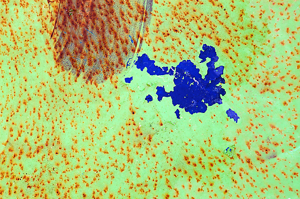 포토 JPG 해외이미지 산업 백그라운드 컨셉 표면 날씨 추상 사람없음 그래픽 초록색 파란색 컬러풀 금속 페인트 손상 도시 얼룩 그리기 자르기 철 묘사 부식 질감 스크래치 시트 그런지 산화 썩음 철강 해외202004 해외포토 컬러 무늬 모션 재질 파일형식 이미지허브