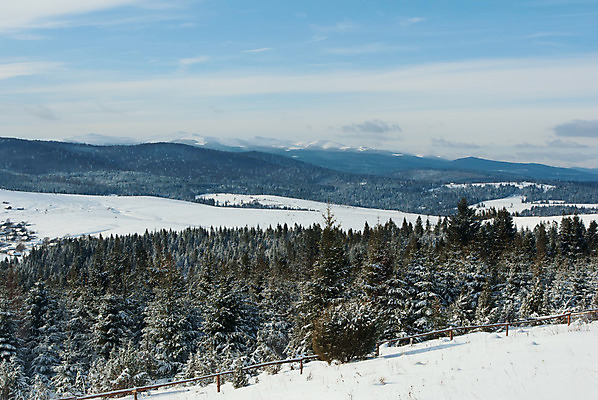 포토 JPG 해외이미지 나무 구름 계절 여행 겨울 자연 하늘 날씨 산 풍경 사람없음 야외 목재 냉동 추위 흰색 소나무 숲 서리 전나무 내추럴 눈내림 해외202004 해외포토 자연요소 식물 컬러 재료 눈_날씨 생태계 파일형식 이미지허브