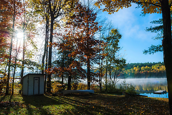 포토 JPG 해외이미지 나무 식물 실루엣 호수 하늘 아침 그림자 사람없음 물 파란색 빛 컬러풀 햇빛 반사 일출 침묵 안개 나뭇가지 보트 황무지 가장자리 숲 속도 카누 헛간 삼림지대 혼자 해외202004 해외포토 주간 자연요소 컬러 배_교통 날씨 촬영기법 태양 노을 소리 수상스포츠 둘레 저장고 파일형식 이미지허브