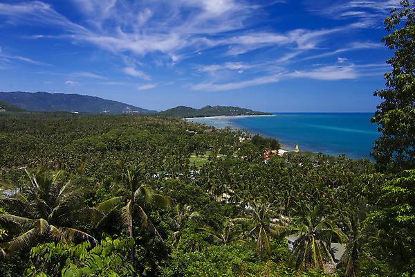 포토 JPG 해외이미지 나무 구름 모래 파도 바다 섬 여행 잎 태국 자연 하늘 휴가 휴식 손바닥 풍경 사람없음 야외 건물 물 여름 파란색 태양 수영 서핑 고급 오두막 휴양지 코코넛 석호 이국적 파라다이스 해외202004 해외포토 자연요소 식물 건축물 손 계절 아시아 컬러 컨셉 과일 장소 수상스포츠 생태계 파일형식 이미지허브