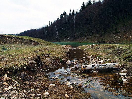 포토 JPG 해외이미지 호수 사람없음 목재 물 봄 개울 해외202004 해외포토 자연요소 나무 계절 재료 강 파일형식 이미지허브