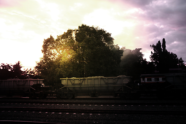 포토 JPG 해외이미지 나무 실루엣 호수 여행 백그라운드 밭 자연 하늘 아침 풍경 잔디 사람없음 야외 초록색 물 여름 파란색 빛 햇빛 태양 농장 노란색 일출 환경 일몰 새벽 기차 안개 광선 시골 저녁 상승 스카이라인 내추럴 선로 파라다이스 수평선 해외202004 해외포토 주간 자연요소 식물 계절 육상교통 컬러 컨셉 농업 날씨 대중교통 촬영기법 노을 야간 생태계 파일형식 이미지허브