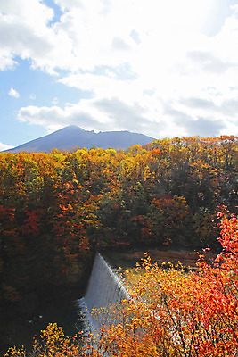 포토 JPG 해외이미지 나무 식물 계절 아시아 단풍 잎 자연 산 풍경 사람없음 야외 목재 강 컬러풀 일본 가을 개울 숲 수평선 해외202004 해외포토 나라 컬러 재료 생태계 파일형식 이미지허브