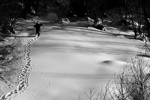 포토 JPG 해외이미지 나무 직업 라이프스타일 남자 스포츠 이동 겨울 자연 휴가 스키 산 그림자 한명 사람 야외 목재 노란색 얼음 기쁨 추위 자유 흰색 오픈 황무지 야간 숲 시원함 가루 순수 심플 스키선수 무료 운동가 자취 해외202004 해외포토 자연요소 식물 1 계절 감정 컬러 컨셉 재료 겨울스포츠 운동선수 생활 생태계 파일형식 이미지허브