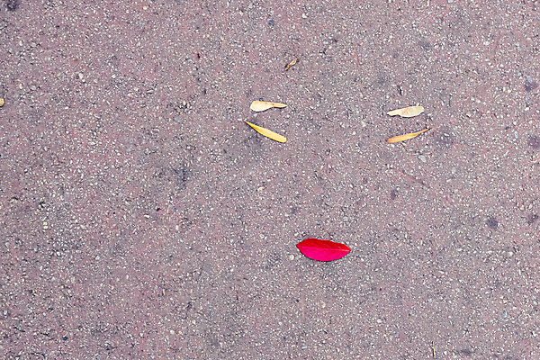 포토 JPG 해외이미지 나무 식물 계절 도로 벽 단풍 잎 패턴 오렌지 자연 표면 추상 거리 사람없음 빨간색 초록색 노란색 검은색 회색 가을 바위 황금 숲 아스팔트 입술 질감 10월 고립 콘크리트 해외202004 해외포토 길 컬러 무늬 과일 교통시설 신체부위 돌_바위 날짜 생태계 파일형식 이미지허브