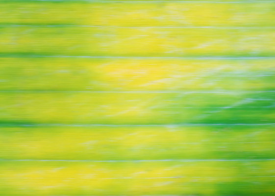 포토 JPG 해외이미지 모양 나무 식물 디자인 줄기 백그라운드 잎 패턴 자연 벽지 추상 바나나 손바닥 사람없음 초록색 컬러풀 노란색 정원 줄무늬 묘사 질감 내추럴 고립 떠남 해외202004 해외포토 손 컬러 무늬 과일 모션 생태계 파일형식 이미지허브