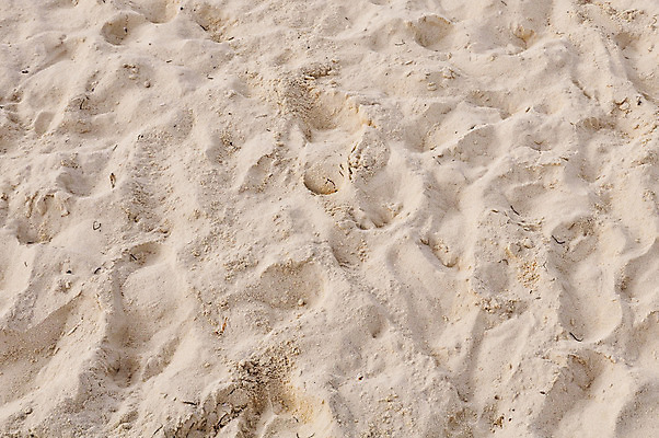 포토 JPG 해외이미지 물결 모래 파도 바다 섬 여행 백그라운드 이동 패턴 자연 조류 표면 바람 휴가 바닥 건조 해변 사람없음 물 상자 태양 고요 흙 사막 흰색 뜨거움 황무지 빨래 낟알 모래언덕 만족 질감 먼지 혼자 해외202004 해외포토 자연요소 동물 감정 컬러 컨셉 가사 무늬 날씨 언덕 생태계 파일형식 이미지허브