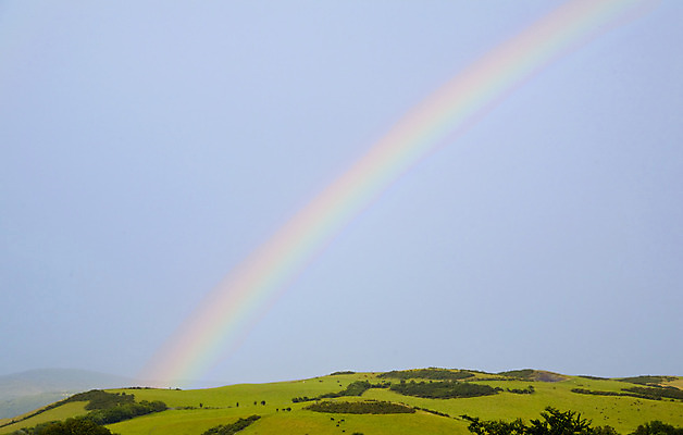 포토 JPG 해외이미지 계절 무지개 밭 자연 하늘 날씨 풍경 사람없음 야외 초록색 여름 파란색 빛 컬러풀 햇빛 시골 신선 천국 수평선 해외202004 해외포토 자연요소 컬러 농업 태양 생태계 파일형식 이미지허브
