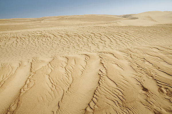 포토 JPG 해외이미지 모래 파도 여행 백그라운드 곡선 오렌지 아프리카 자연 건조 따뜻함 이집트 그림자 풍경 사람없음 야외 여름 모래사장 태양 노란색 맑음 일몰 사막 뜨거움 거친 호주 쇼핑몰 모래언덕 사파리 언덕 질감 아라비아 사하라 아랍에미리트 나미비아 볼리비아 아랍어 알제리 해외202004 해외포토 자연요소 계절 나라 선 바다 컬러 과일 중동 날씨 아메리카 노을 오세아니아 생태계 남아프리카 파일형식 이미지허브