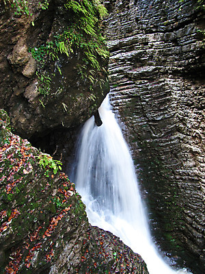 포토 JPG 해외이미지 나무 여행 자연 휴식 산 풍경 사람없음 목재 물 폭포 가을 암초 해외202004 해외포토 자연요소 식물 계절 컨셉 재료 생태계 파일형식 이미지허브