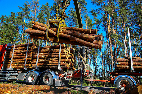 포토 JPG 해외이미지 나무 직업 산업 교통시설 자동차 자연 기술 사람 사람없음 야외 목재 파란색 쌓기 환경 기계 장비 화물 시골 소나무 업무 숲 수집 기중기 통나무 장면 짐차 트레일러 잡동사니 흙더미 적재 내추럴 라트비아 리프팅 벌목 삼림지대 생태학 수목 운영자 해외202004 해외포토 식물 교육 육상교통 컬러 교통 재료 모션 북유럽 흙 운송업 작업 중장비 시설 생태계 파일형식 더미 이미지허브
