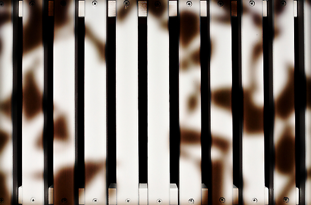 포토 JPG 해외이미지 나무 디자인 외관 행복 벽 백그라운드 패턴 자연 탁자 표면 날씨 추상 주택 사람없음 야외 건물 목재 여름 파란색 울타리 정원 수확 흰색 시골 판넬 그리기 보호 널 질감 복고 내추럴 대출 고립 그런지 수목 옛날 완벽 완전 해외202004 해외포토 식물 건축물 계절 감정 컬러 가구 컨셉 무늬 농업 재료 모션 금융 담장 생태계 파일형식 이미지허브