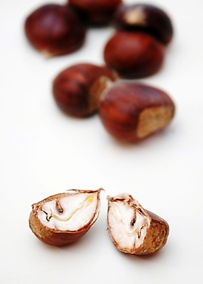 포토 JPG 해외이미지 식물 계절 음식 백그라운드 잎 패턴 과일 자연 씨앗 사람없음 갈색 견과류 흰색 자르기 질감 내추럴 고립 해외202004 해외포토 컬러 무늬 모션 생태계 파일형식 이미지허브