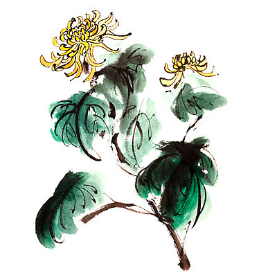 JPG 해외이미지 잎 일러스트 붓터치 국화 미술 사람없음 먹 동양화 그림 번짐 해외202004 해외일러스트 식물 꽃 서예 문화예술 파일형식 효과 이미지허브