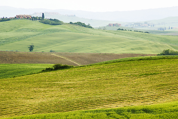포토 JPG 해외이미지 나무 식물 계절 밭 자연 파노라마 그림자 풍경 사람없음 초록색 여름 빛 농장 농경지 환경 일몰 봄 이탈리아 수확 시골 황금 신비 5월 언덕 장면 시에나 토스카나 목가 해외202004 해외포토 유럽 컬러 컨셉 농업 촬영기법 노을 날짜 생태계 파일형식 이미지허브