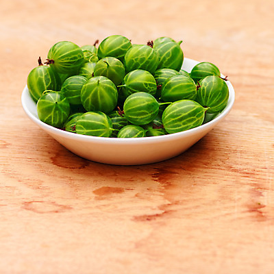 포토 JPG 해외이미지 라이프스타일 접시 디자인 열매 음식 백그라운드 다이어트 과일 재료 탁자 디저트 건강 요리 사람없음 초록색 농작물 갈색 쌓기 수확 흰색 시골 신선 그룹 사발 닫기 달콤 맛 아침식사 흙더미 구스베리 숙성 완벽 채식주의자 세련 해외202004 해외포토 식물 식기 컬러 가구 컨셉 농업 모션 생활 식사 흙 사기그릇 채식 파일형식 더미 이미지허브