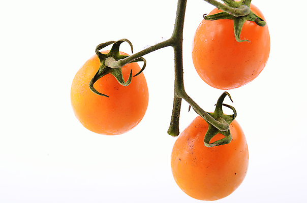 포토 JPG 해외이미지 식물 음식 백그라운드 농업 다이어트 토마토 채소 오렌지 과일 재료 피자 파스타 건강 사람없음 빨간색 초록색 정원 샐러드 신선 원형 체리 시장 맛 농부 작음 향신료 오브젝트 유기농 포도나무 점심식사 멀티 숙성 채식주의자 해외202004 해외포토 도형 직업 웰빙 산업 컬러 컨셉 패스트푸드 서양음식 식사 크기 과일나무 채식 향미료 파일형식 이미지허브